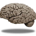 Medical Neuroscience