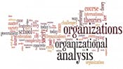Organizational Analysis 