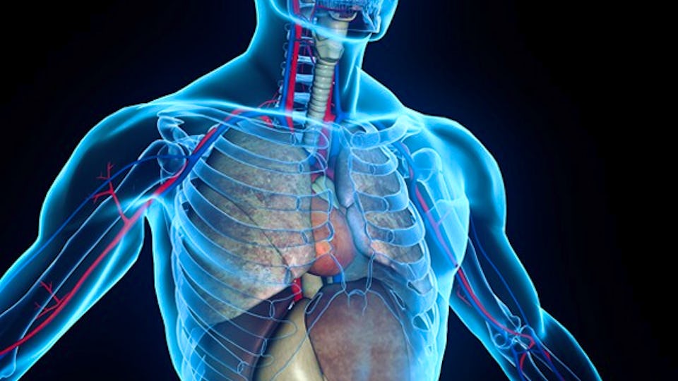 Medical Terminology and the Human Body Fundamentals | Coursera