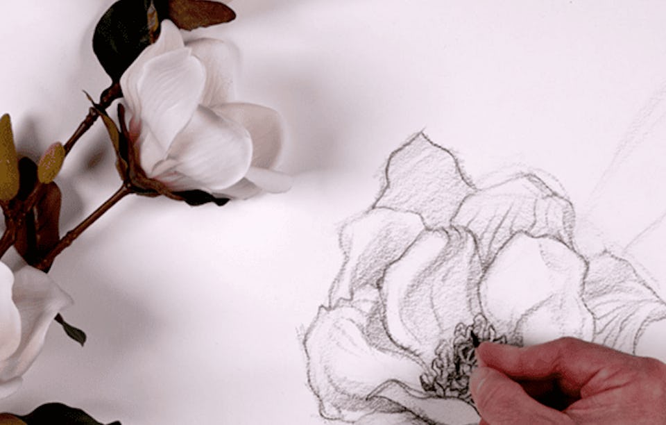 How to Draw: A Beginner’s Guide Pt 1 – Basic Shapes | Coursera