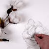 Learn to Draw Specialization