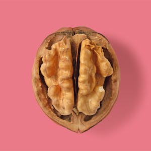 Image for the Artificial Intelligence: an Overview course