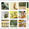 Design a Strong and Cohesive Product Brand Specialization