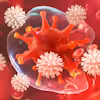 Fundamentals of Immunology Specialization