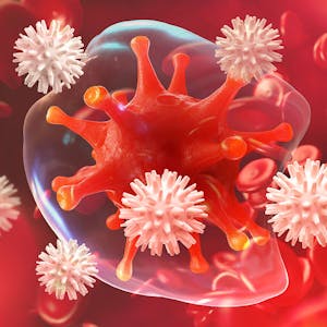 Fundamentals of Immunology from Coursera | Course by Edvicer