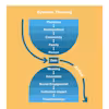 Social Determinants of Health: Data to Action Specialization