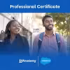 Representante de desarrollo de ventas de Salesforce Professional Certificate