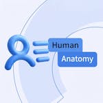 Anatomy