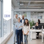 IBM Systems Analyst