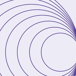 Introduction to Transformer Models for NLP from Pearson online course platform