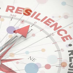 Image for the Resilience Engineering and Leadership in Crisis course