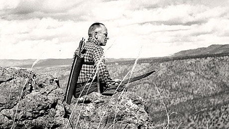 Aldo review land ethic