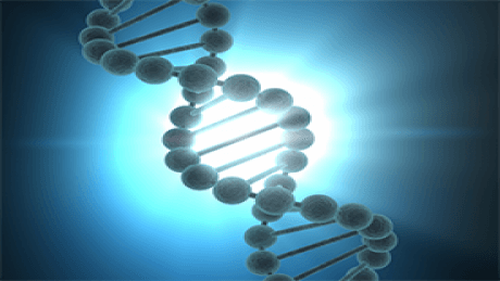 Experimental Genome Science