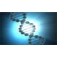 Experimental Genome Science