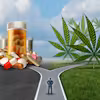 Medical Cannabis: The Health Effects of THC and CBD Specialization