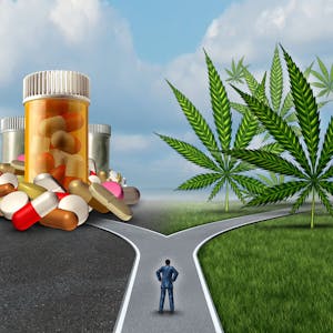 Medical Cannabis: The Health Effects of THC and CBD
