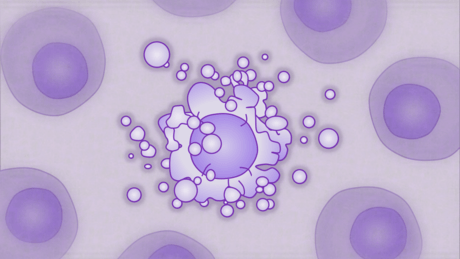 Programmed cell death