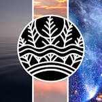 Mindfulness and Well-being