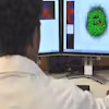 Systems Biology and Biotechnology Specialization