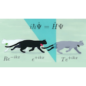 Exploring Quantum Physics