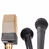 Dynamic Public Speaking Specialization