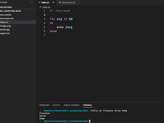 Shell Scripting With Bash Basics Shell Scripting With Bash Basics