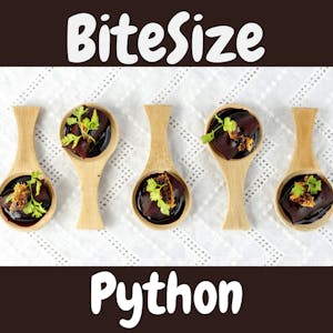 BiteSize Python for Absolute Beginners - Online CE Course