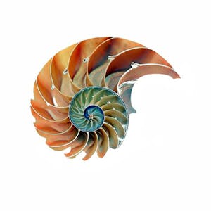 Image for the Integral Calculus through Data and Modeling course