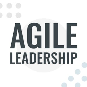 Agile Leadership