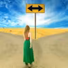 Libertarian Free Will Specialization