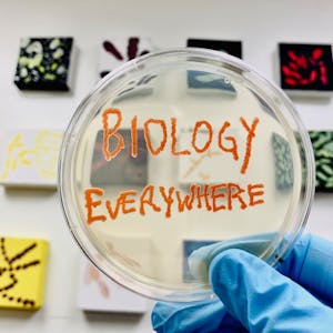 Biology Everywhere - Online CE Course