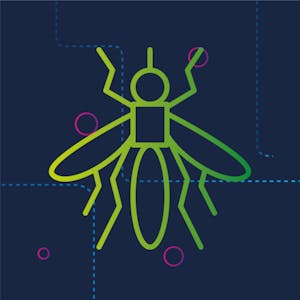 Image for the Infectious Disease Modelling course