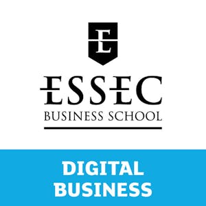 Strategic Business Analytics - Online CE Course