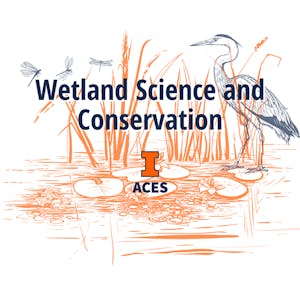 Wetland Science and Conservation - Online CE Course