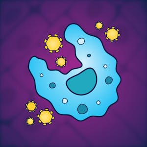 Immunology: The Immune System and its Failures - Online CE Course