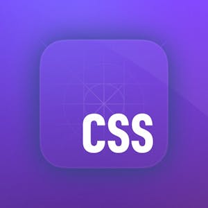 Image for the CSS online course