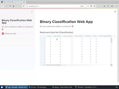 Build a Machine Learning Web App with Streamlit and Python