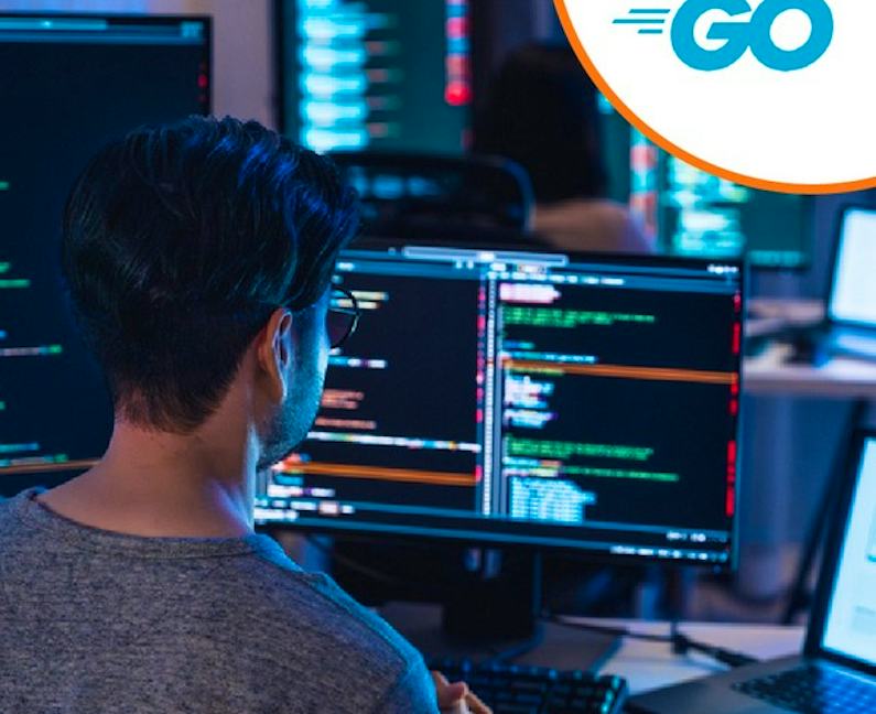 Go Computer Science Language Credit offered