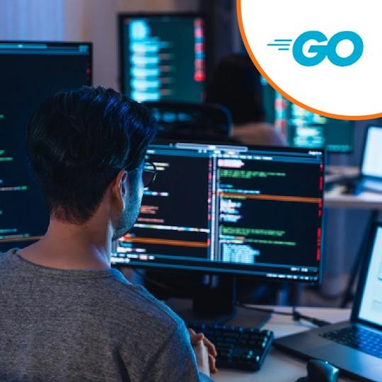 Portada: Go Programming Language
