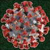 Applied Bioinformatics Specialization