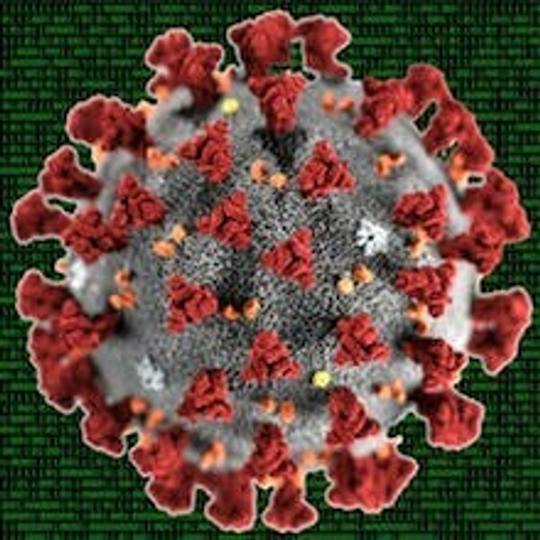 Portada: Bioinformática aplicada