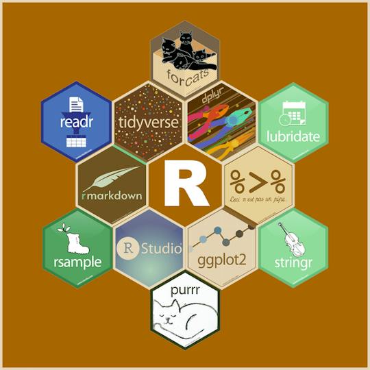 Portada: Expressway to Data Science: R Programming and Tidyverse