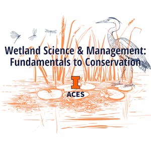 Wetland Science & Management: Fundamentals to Conservation - Online CE Course