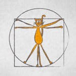Methods and Statistics in Social Sciences image