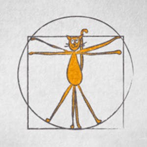 Methods and Statistics in Social Sciences - Online CE Course