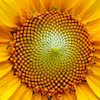 Algebra: Elementary to Advanced Specialization