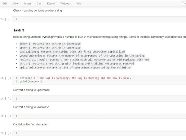 Python for Beginners: Variables and Strings