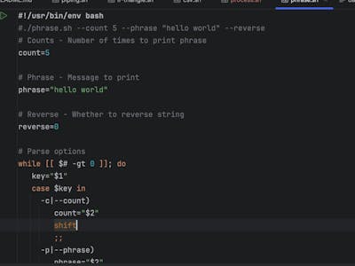 Building a Bash Command-Line Tool