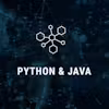 Introduction to Programming with Python and Java Specialization
