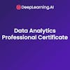 DeepLearning.AI Data Analytics Professional Certificate
